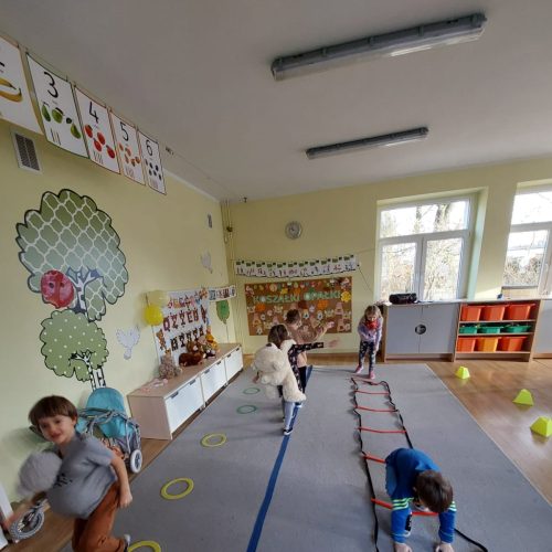 16dzień pluszowego misia