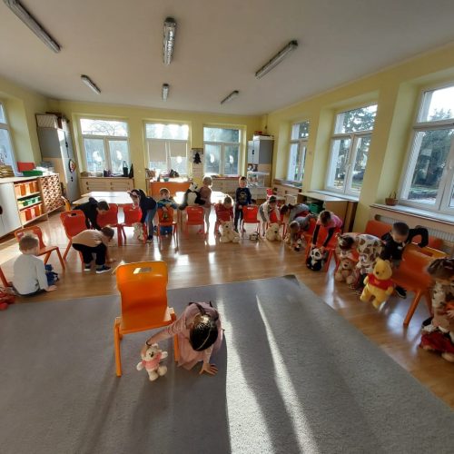19dzień pluszowego misia