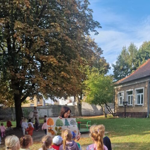 Dzień Drzewa8