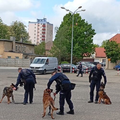 Praca policji.06