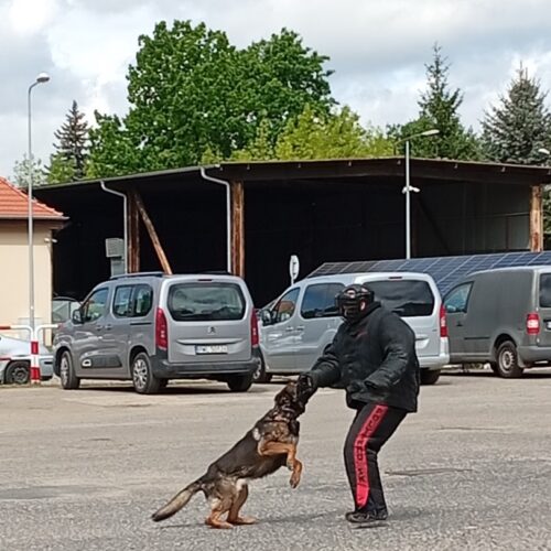 Praca policji.07