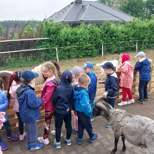 Słoneczny Jar.22