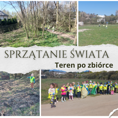 Sprzątanie świata2