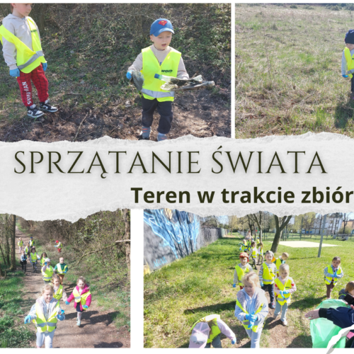 Sprzątanie świata4