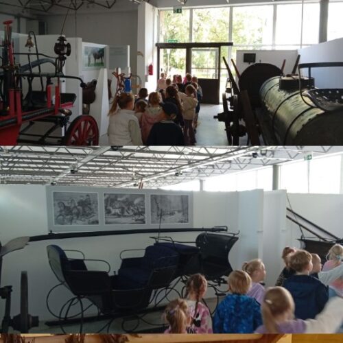 Szreniawa.07