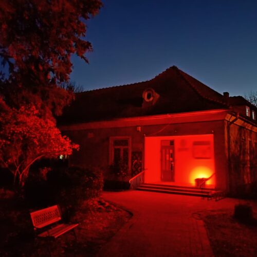 dzieciństwo bez przemocy (1)